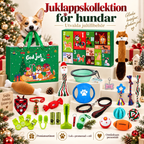 Julekalender med hundeleker